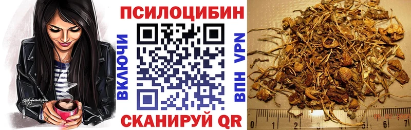 Псилоцибиновые грибы Psilocybe  гидра онион  Электрогорск 